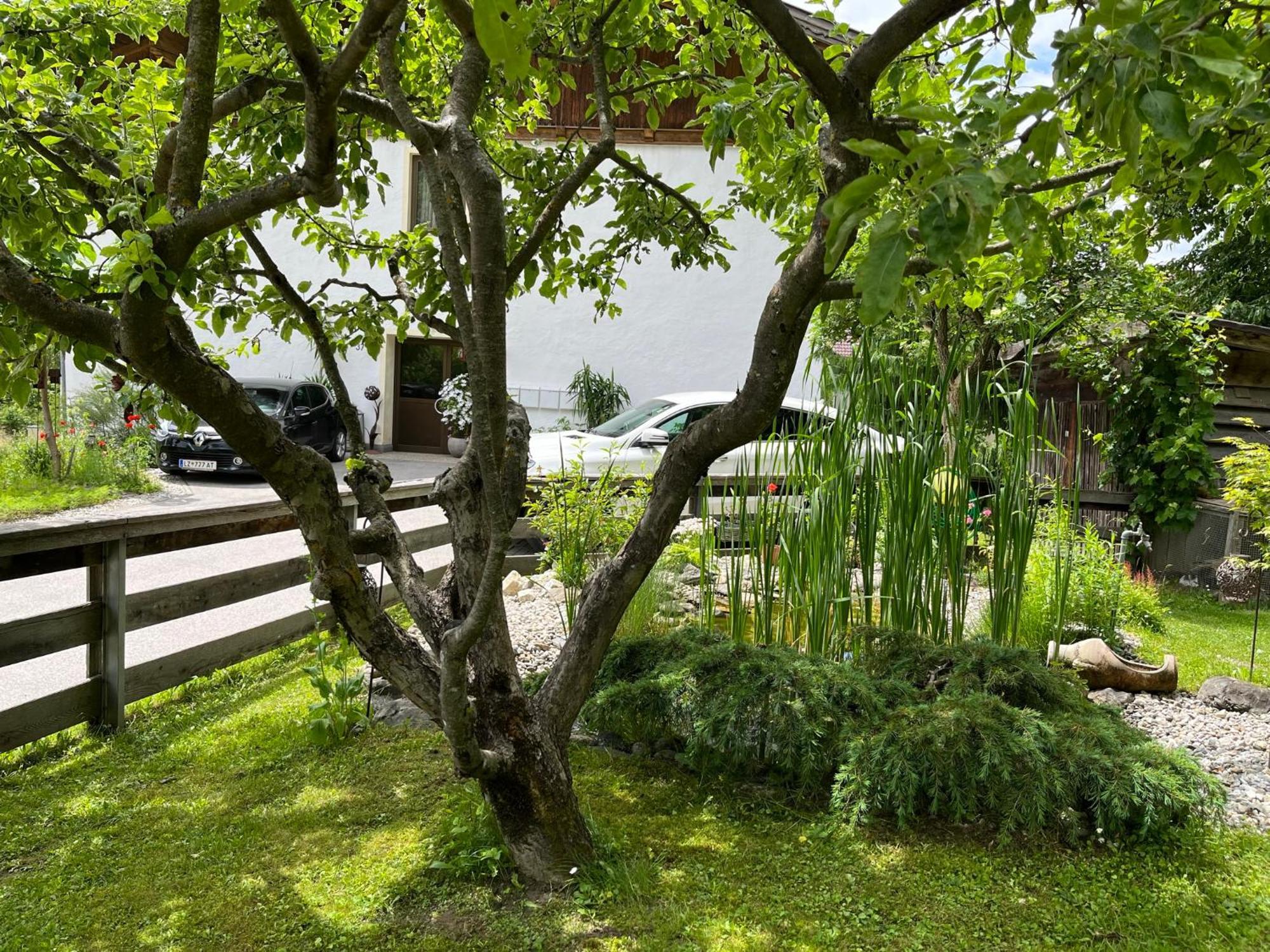Bergmanns Ferienapartment Debant Εξωτερικό φωτογραφία